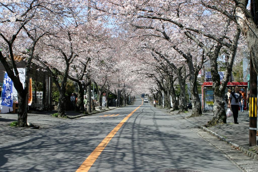 Izu Retreat By Onko Chishin Higashiizu Ngoại thất bức ảnh